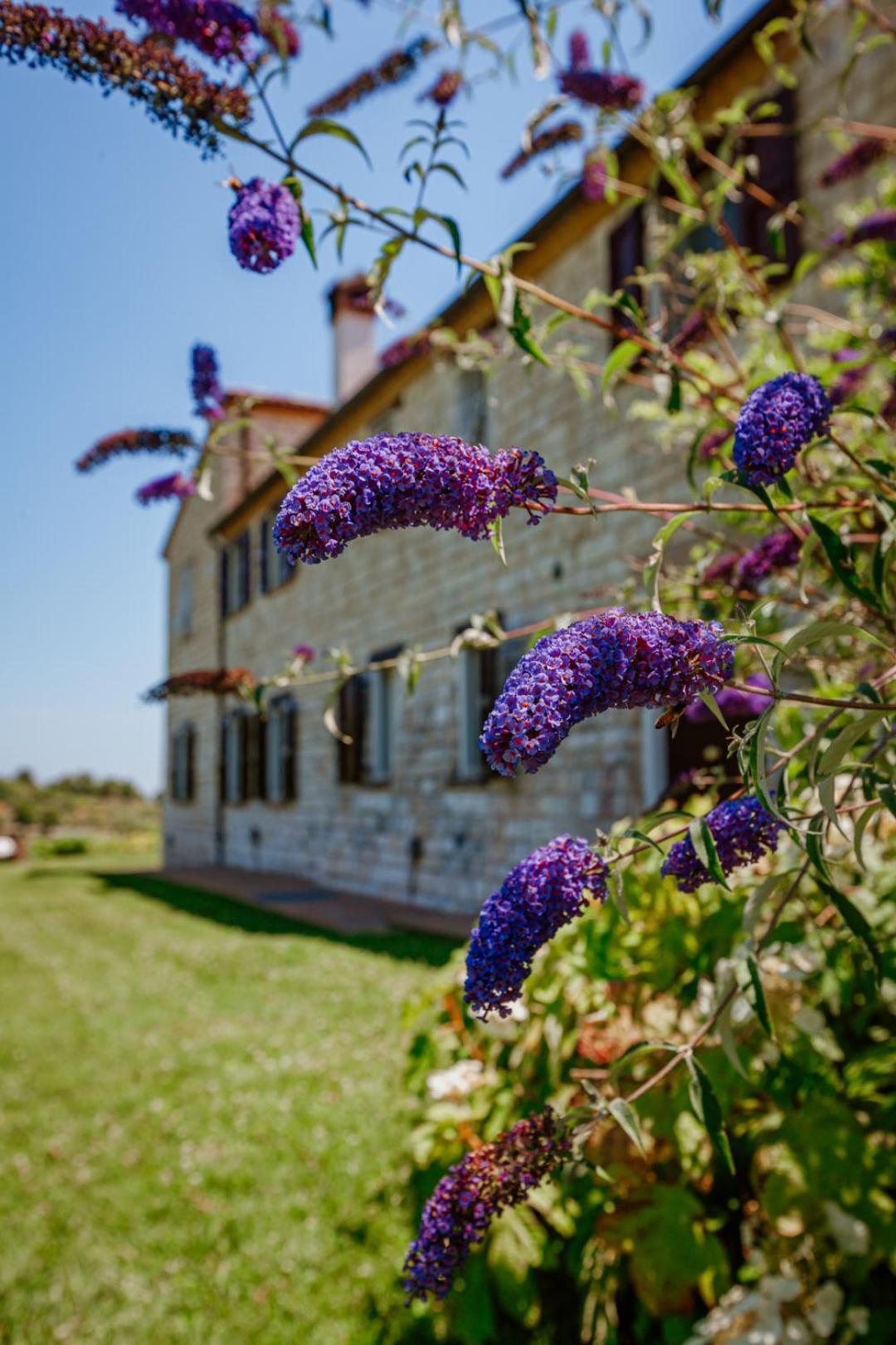 Alle Pendici Del Conero Hotel